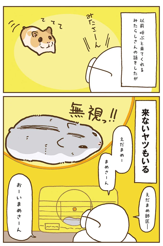 『今日もハムスターから目が離せない！』より