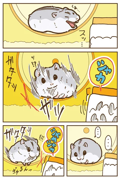 『今日もハムスターから目が離せない！』より