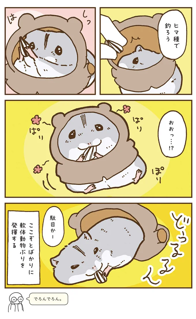 『今日もハムスターから目が離せない！』より
