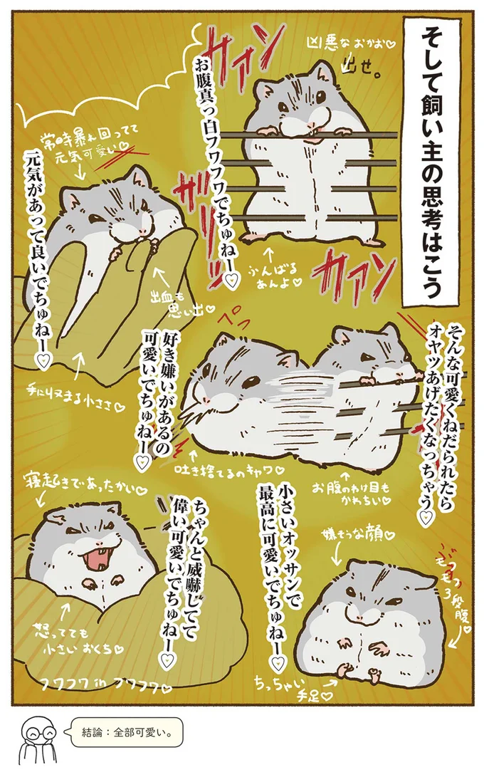 『今日もハムスターから目が離せない！』より