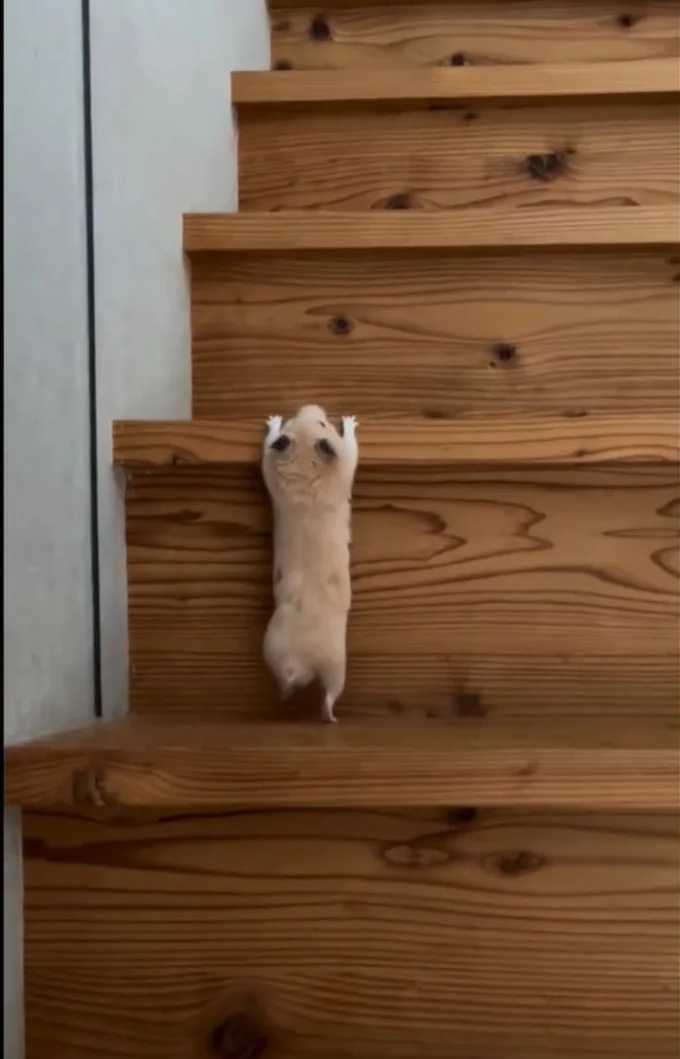 階段で筋トレ中!?(⇒次へ)