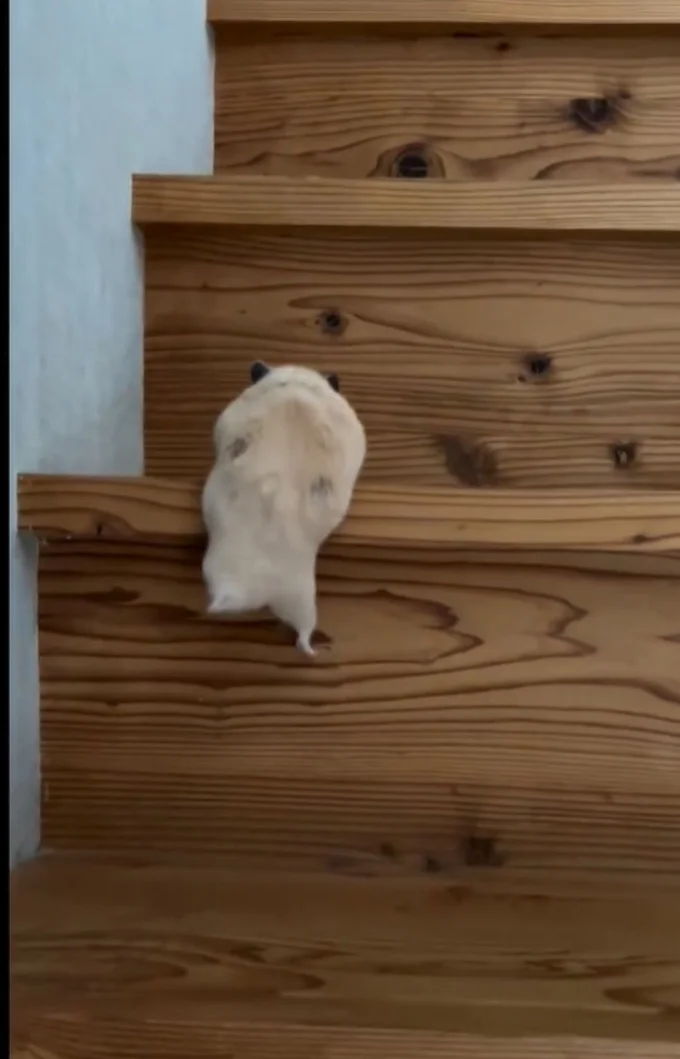1段目クリア▶なにか考えてる!?(⇒次へ)