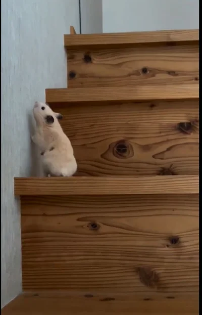 横の壁をくんくん▶次は…（⇒次へ）