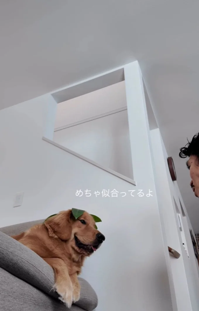 ニヤリとする「海丸くん」▶さらに褒められ続け、なんだか…(⇒次へ)