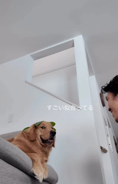 「それほどでもないよ～」とまんざらでもない▶ズームすると…（⇒次へ）