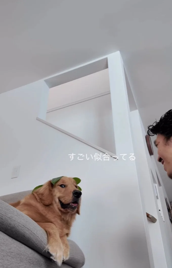 「それほどでもないよ~」とまんざらでもない▶ズームすると…(⇒次へ)