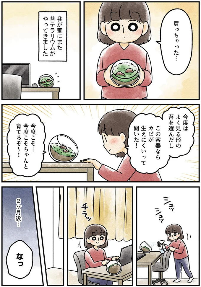 『ズボラでもできた 小さな緑で心が潤うお部屋づくり 苔テラリウムはじめました』より