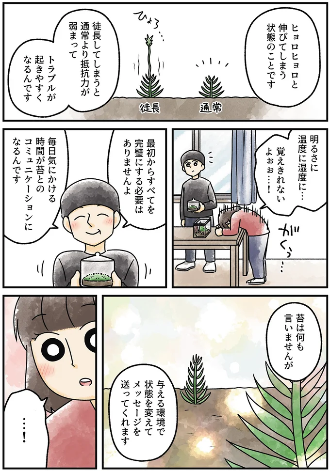 『ズボラでもできた 小さな緑で心が潤うお部屋づくり 苔テラリウムはじめました』より