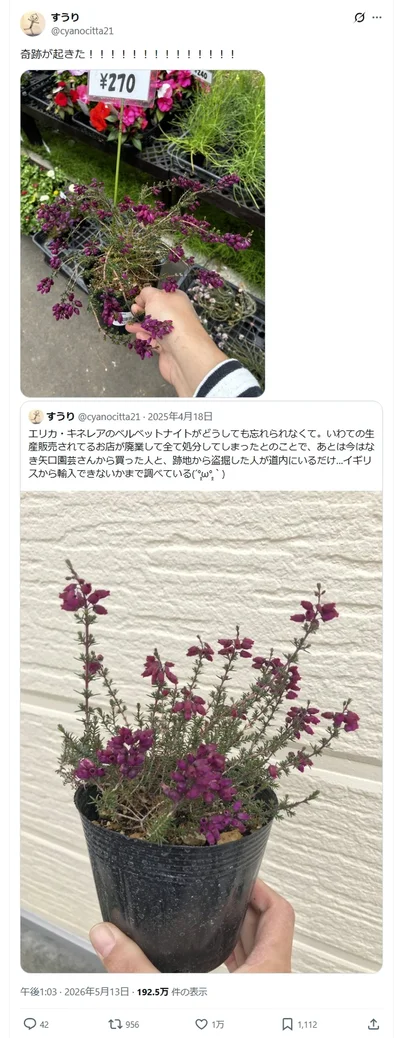 奇跡起きた！▶エリカへの愛がますます高まった投稿者さん（⇒次へ）