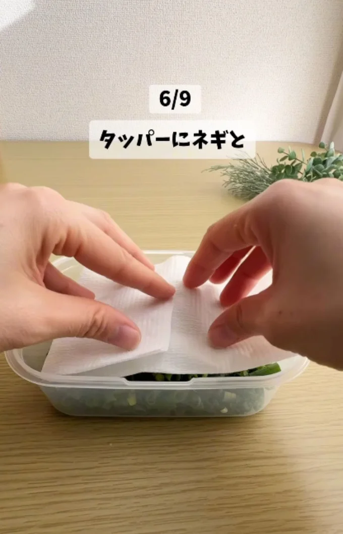 刻みネギと一緒にキッチンペーパーを入れる▶そのまま冷凍すれば…（⇒次へ）