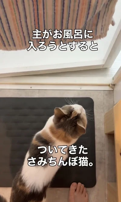 浴室までついてくる（⇒次へ）
