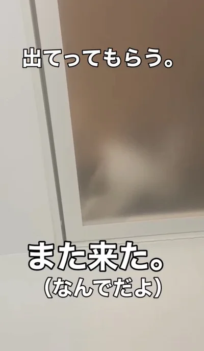 すぐに戻ってきた▶すりガラス越しに…（⇒次へ）