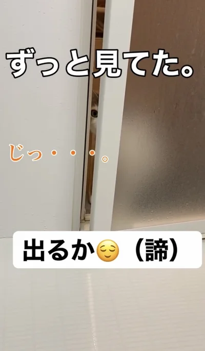 隙間からじっと見てる▶警戒心強め！？（⇒次へ）