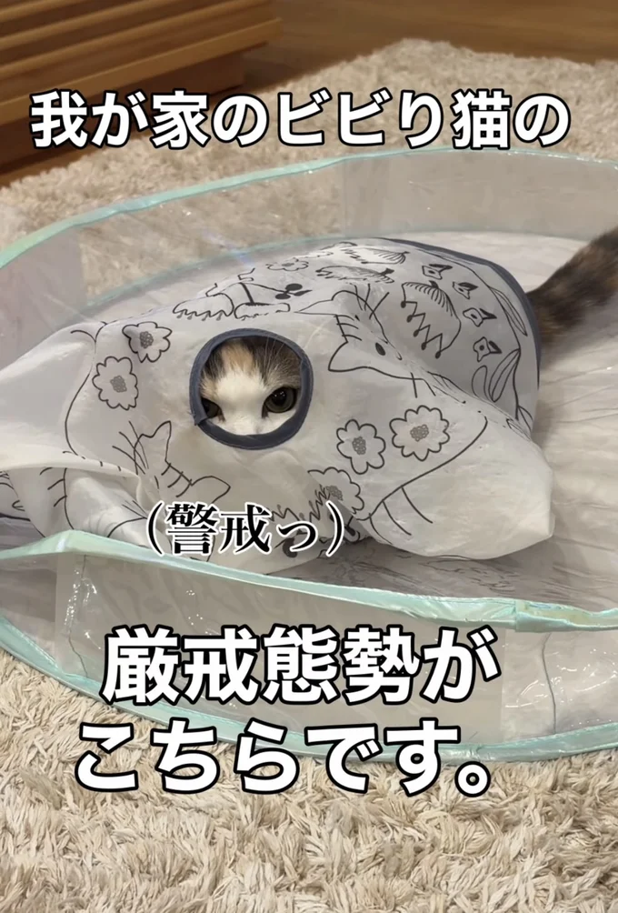 隠れてるつもり▶だんだん…（⇒次へ）