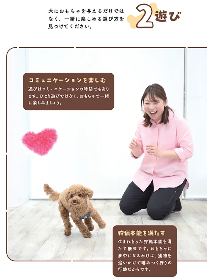 【愛犬を知ろう】本能的欲求の満足度をチェック!
