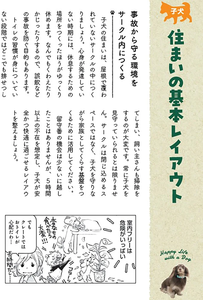 【子犬と成犬の育て方】安心を与えて家族になろう