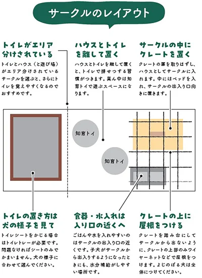 子犬の時期に安心できるくらしの土台をつくることが重要です。