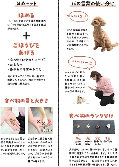 飼い主さんが声をかけるたびに、愛犬が喜んでくれるようになります。