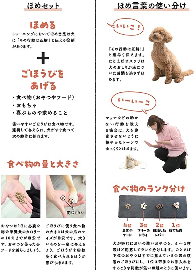 飼い主さんが声をかけるたびに、愛犬が喜んでくれるようになります。