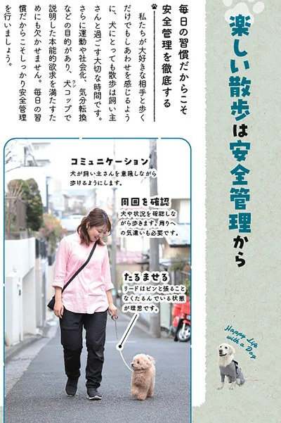 【散歩とお出かけ】楽しい散歩は安全管理から
