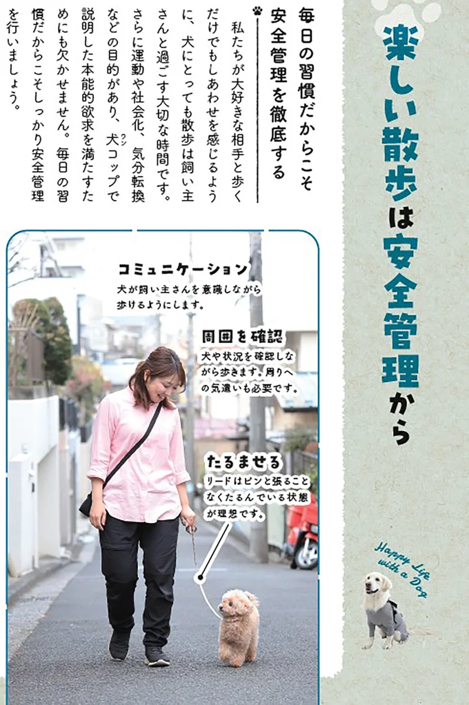 【散歩とお出かけ】楽しい散歩は安全管理から