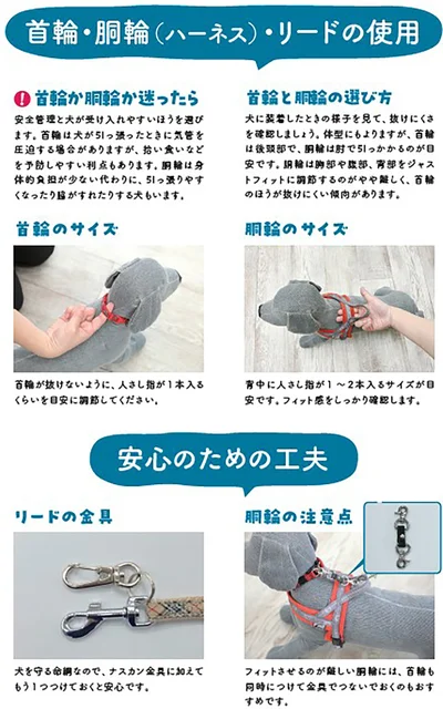 散歩は犬にとって運動や気分転換だけでなく、飼い主さんと並んで歩く大切な時間です。