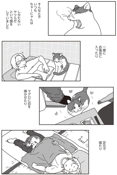 『世界一幸せな飼い主にしてくれた猫』より