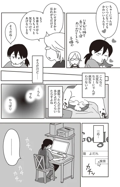 『世界一幸せな飼い主にしてくれた猫』より