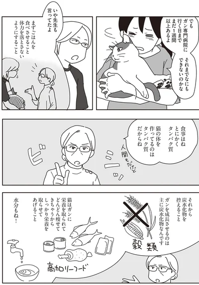 『世界一幸せな飼い主にしてくれた猫』より