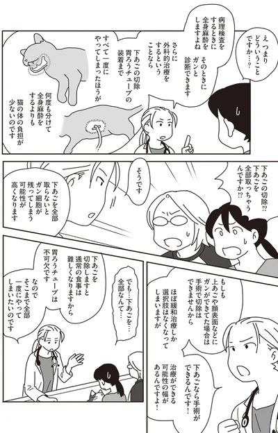 『世界一幸せな飼い主にしてくれた猫』より