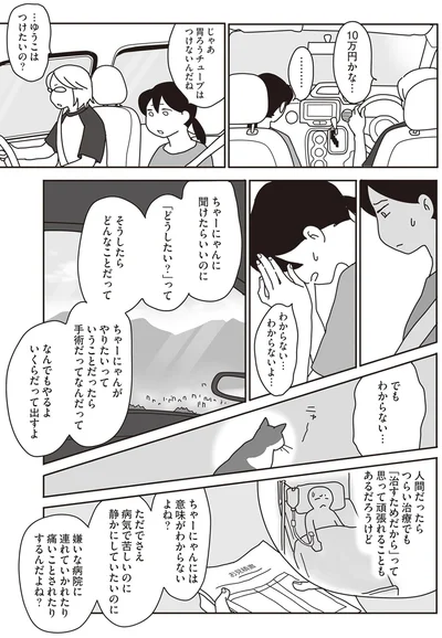 『世界一幸せな飼い主にしてくれた猫』より