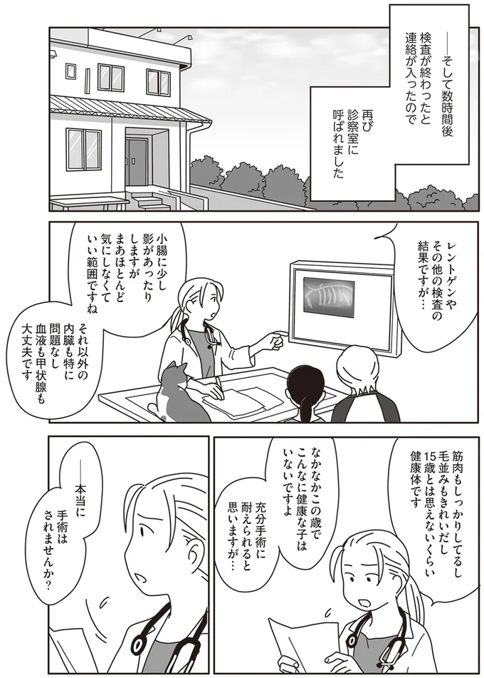 『世界一幸せな飼い主にしてくれた猫』より