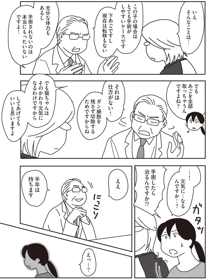 『世界一幸せな飼い主にしてくれた猫』より