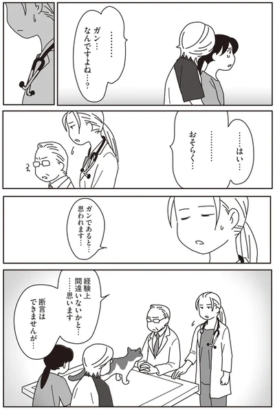 『世界一幸せな飼い主にしてくれた猫』より