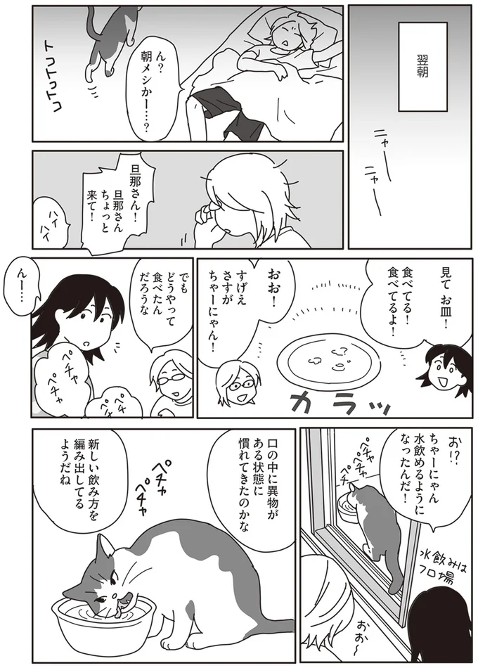 『世界一幸せな飼い主にしてくれた猫』より