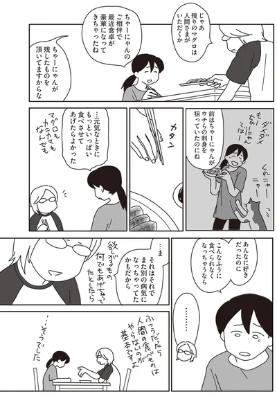 『世界一幸せな飼い主にしてくれた猫』より