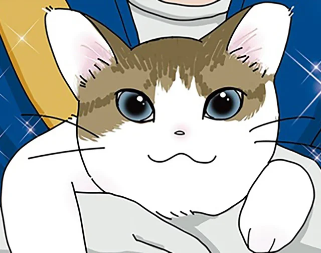 「もう猫は飼わない」と口にした、その直後。夫の心を動かした、子猫との出会い／世界一幸せな飼い主にしてくれた猫（1）