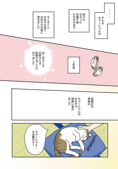 ちゃーにゃん～　大活躍だぞー