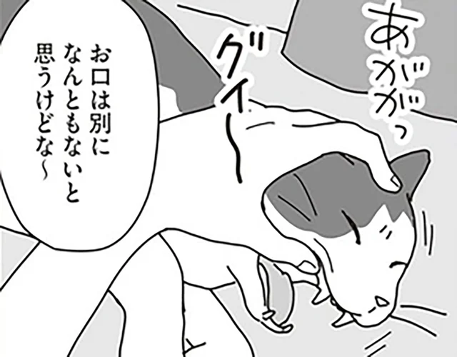 「もう一回見せて！」舌の下に口内炎？愛猫の口内に異変が見つかって…／世界一幸せな飼い主にしてくれた猫（6）
