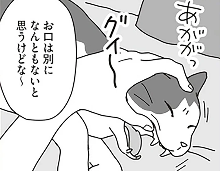 「もう一回見せて！」舌の下に口内炎？愛猫の口内に異変が見つかって…／世界一幸せな飼い主にしてくれた猫（6）