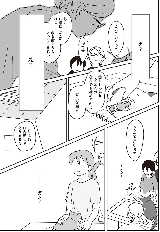 これはね 口内炎じゃありません