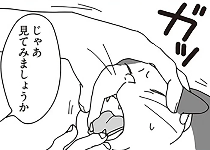 口内炎ではなく病気だった。愛猫の診断結果に、頭が真っ白になって／世界一幸せな飼い主にしてくれた猫（7）