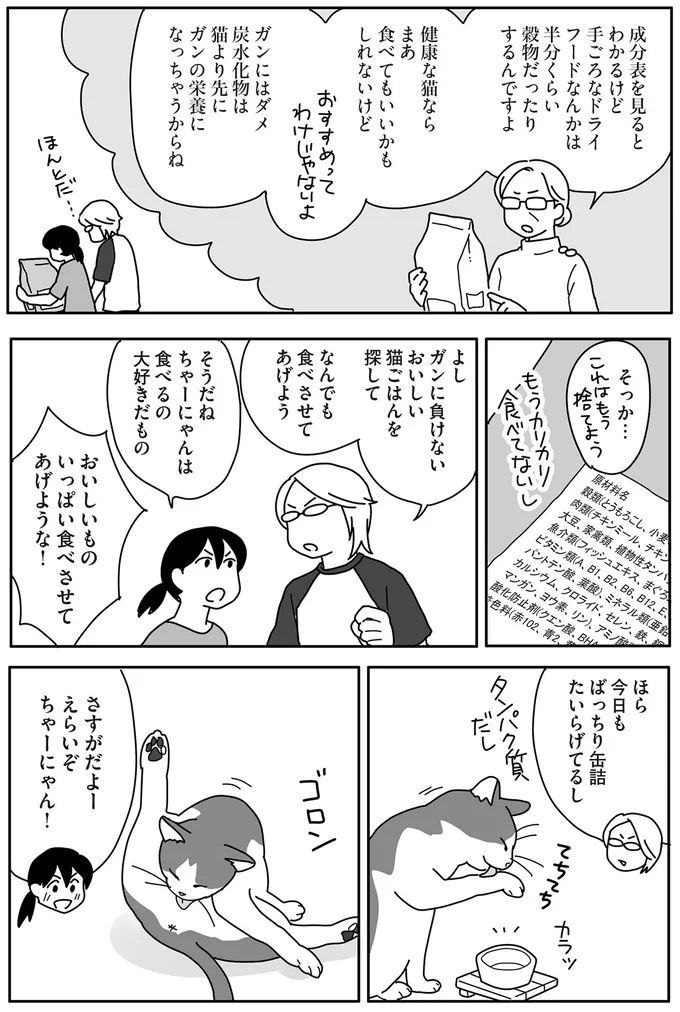ガンに負けないおいしい猫ごはんを探して なんでも食べさせてあげよう