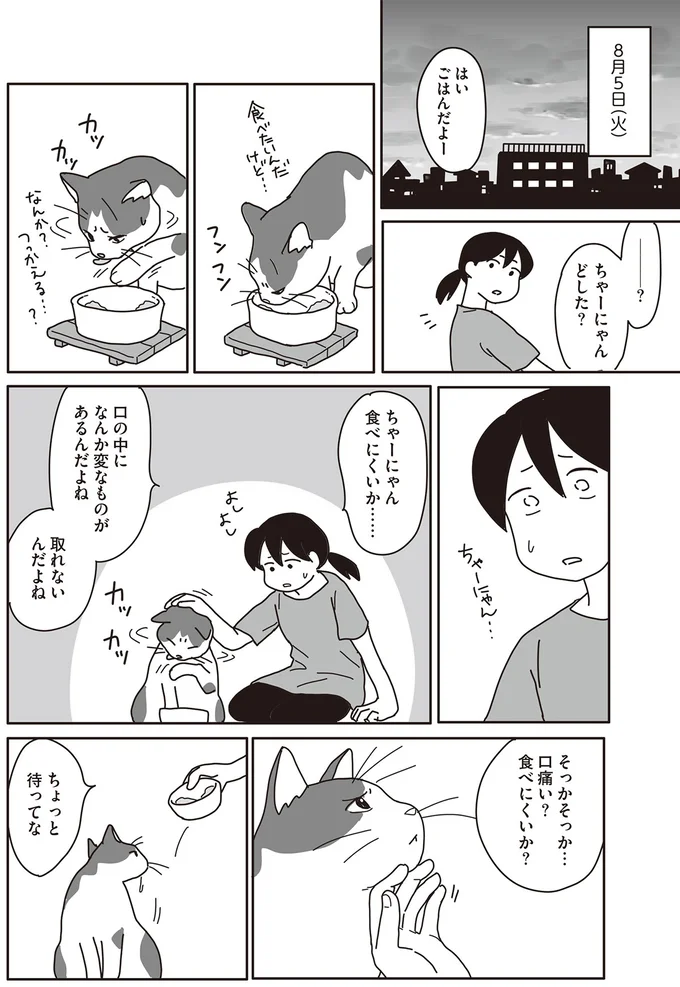 口痛い?食べにくいか?
