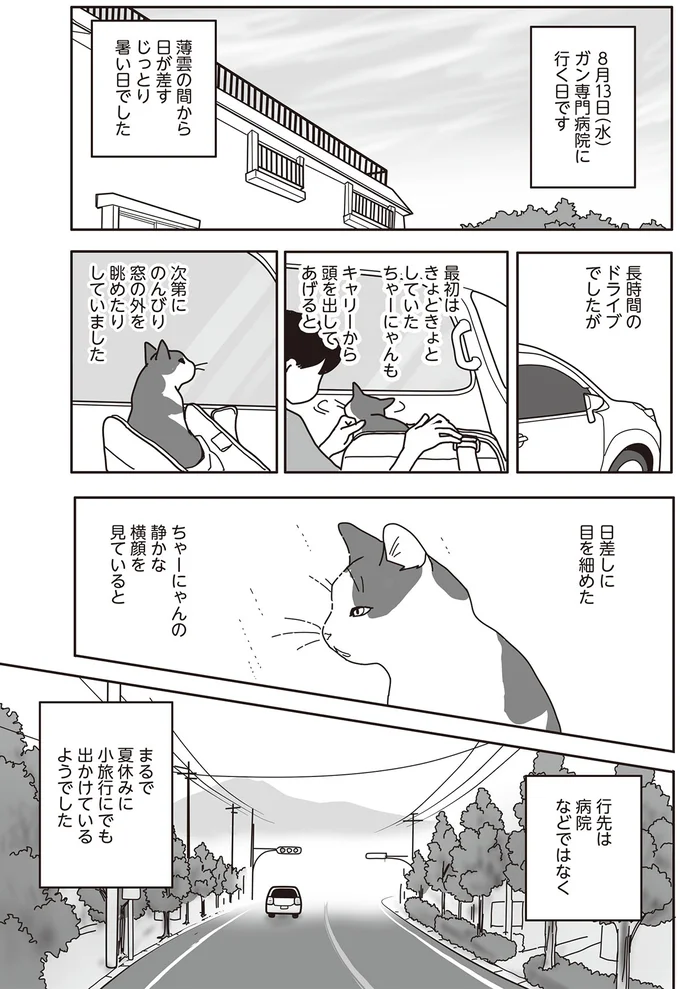 ちゃーにゃんの静かな横顔を見ていると
