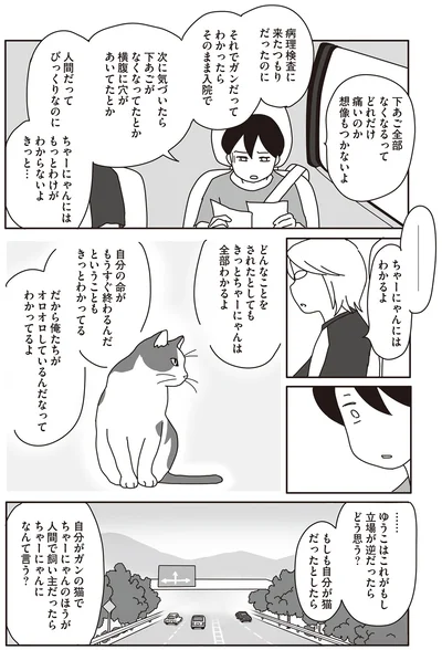 ちゃーにゃんにはわかるよ