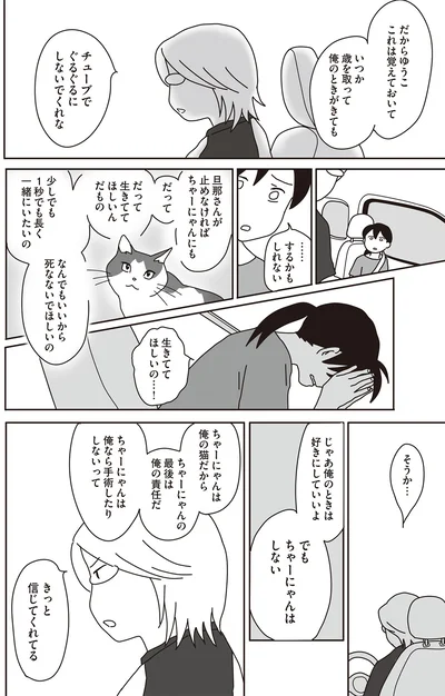 ちゃーにゃんは俺の猫だから　ちゃーにゃんの最後は俺の責任だ