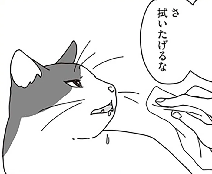 余命3ヶ月と宣告された愛猫。夫婦で選んだ自宅看病という道／世界一幸せな飼い主にしてくれた猫（14）