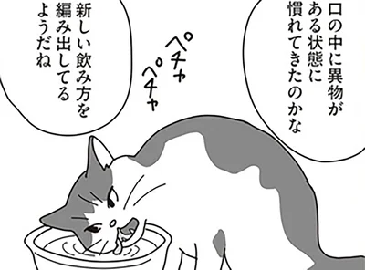 新しい飲み方を編み出してる