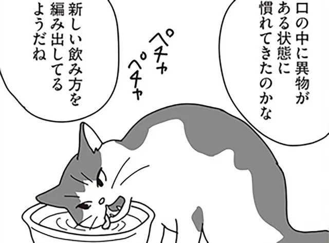 口内のガンが進行していく愛猫。夫婦で続けた食事の工夫／世界一幸せな飼い主にしてくれた猫（15）
